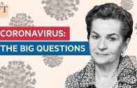 Fighting coronavirus and the climate crisis | FT Interview with Christiana Figueres